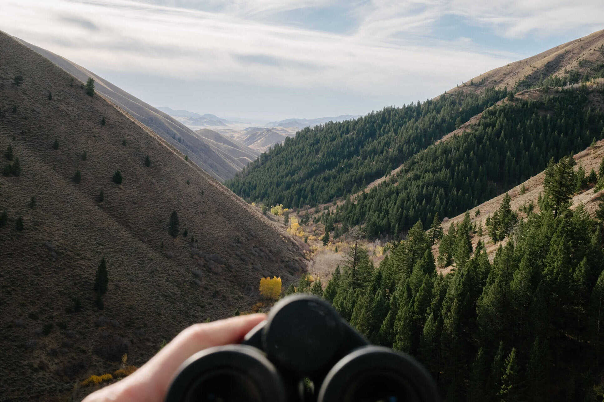 A person holding binoculars over a valley.