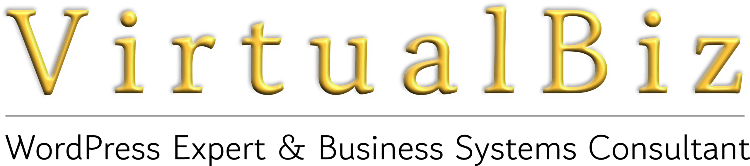 ✨VirtualBiz
