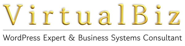 VirtualBiz